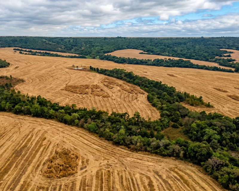 Lote 1 | MT - Paranatinga | Fazenda - Dois Rios - 1.364 ha
