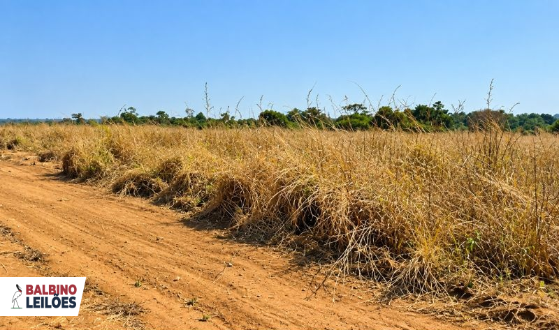 Terreno no Setor Industrial em Cláudia/MT — foto 1