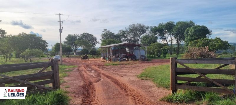Lote 1 | MT - Poxoréo | Fazenda - São Pedro - 535,7048 ha