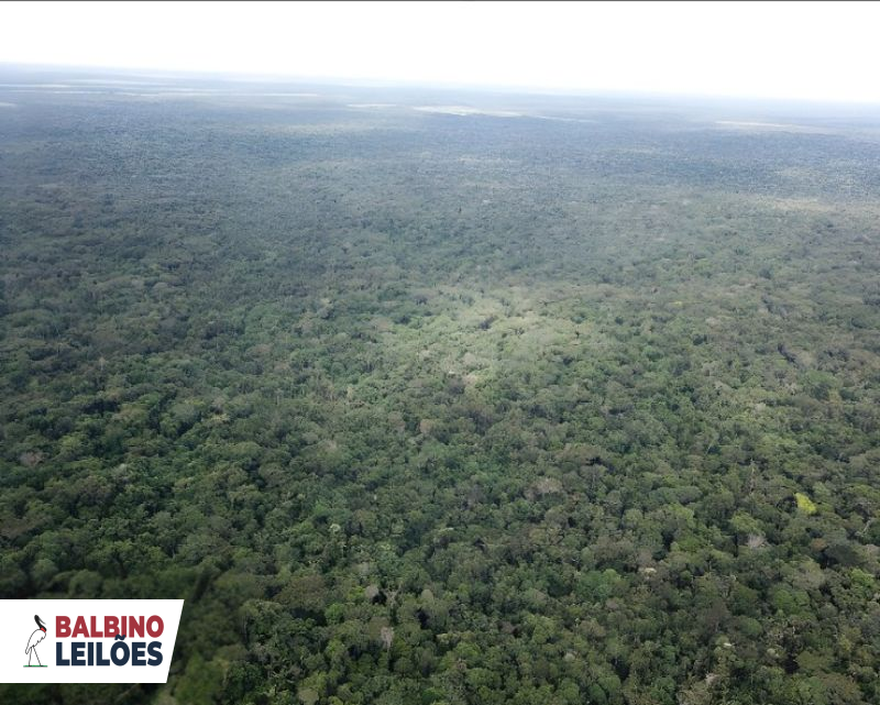 Lote 1 - MT - Porto dos Gaúchos - Gleba Alvorada III | Gleba - Área Rural - 145 ha