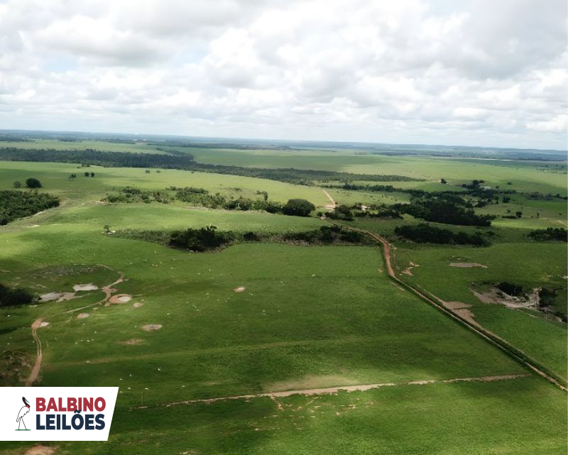 Lote 3 - MT - Novo Horizonte do Norte - Gleba Taquaral | Gleba - Área rural (fração ideal) - 60 ha