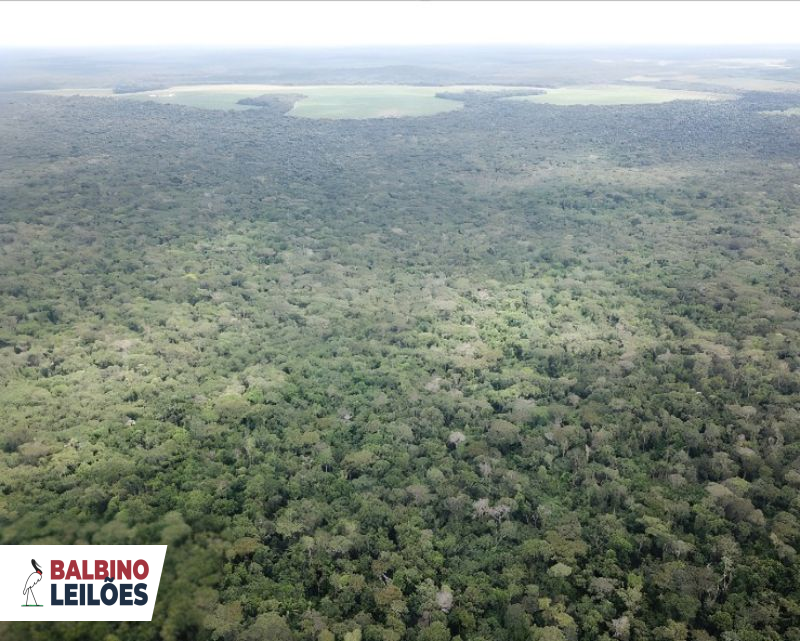 Lote 2 - MT - Porto dos Gaúchos - Gleba Alvorada III | Gleba - Área rural - 145 ha