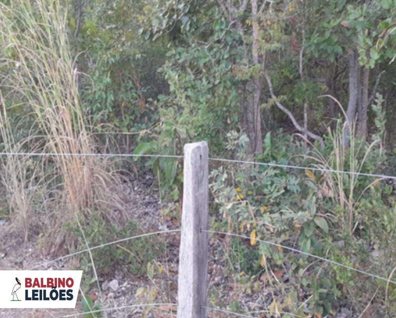 Gleba no Zona Rural (foto 4 de 6)