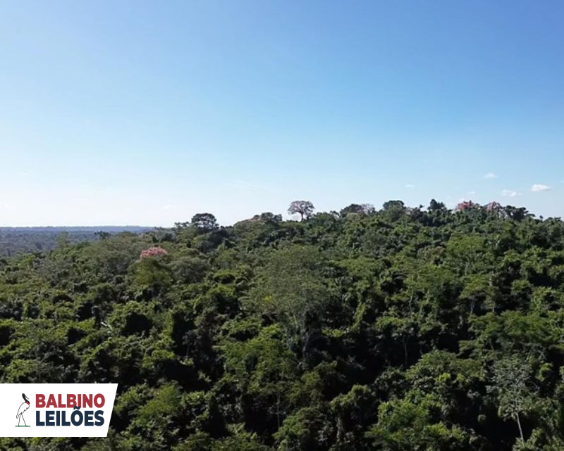 Gleba na Fazenda Santa Helena (foto 7 de 8)