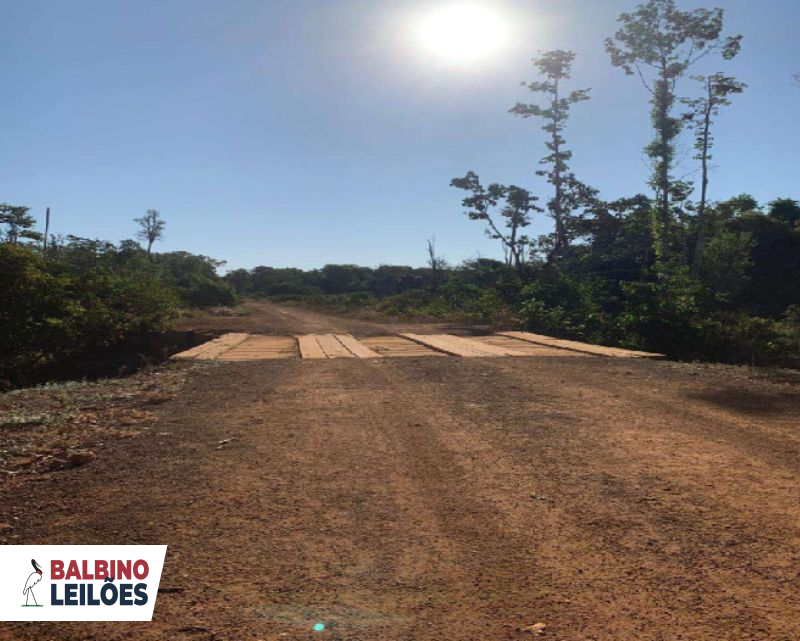 Gleba (foto 6 de 13)