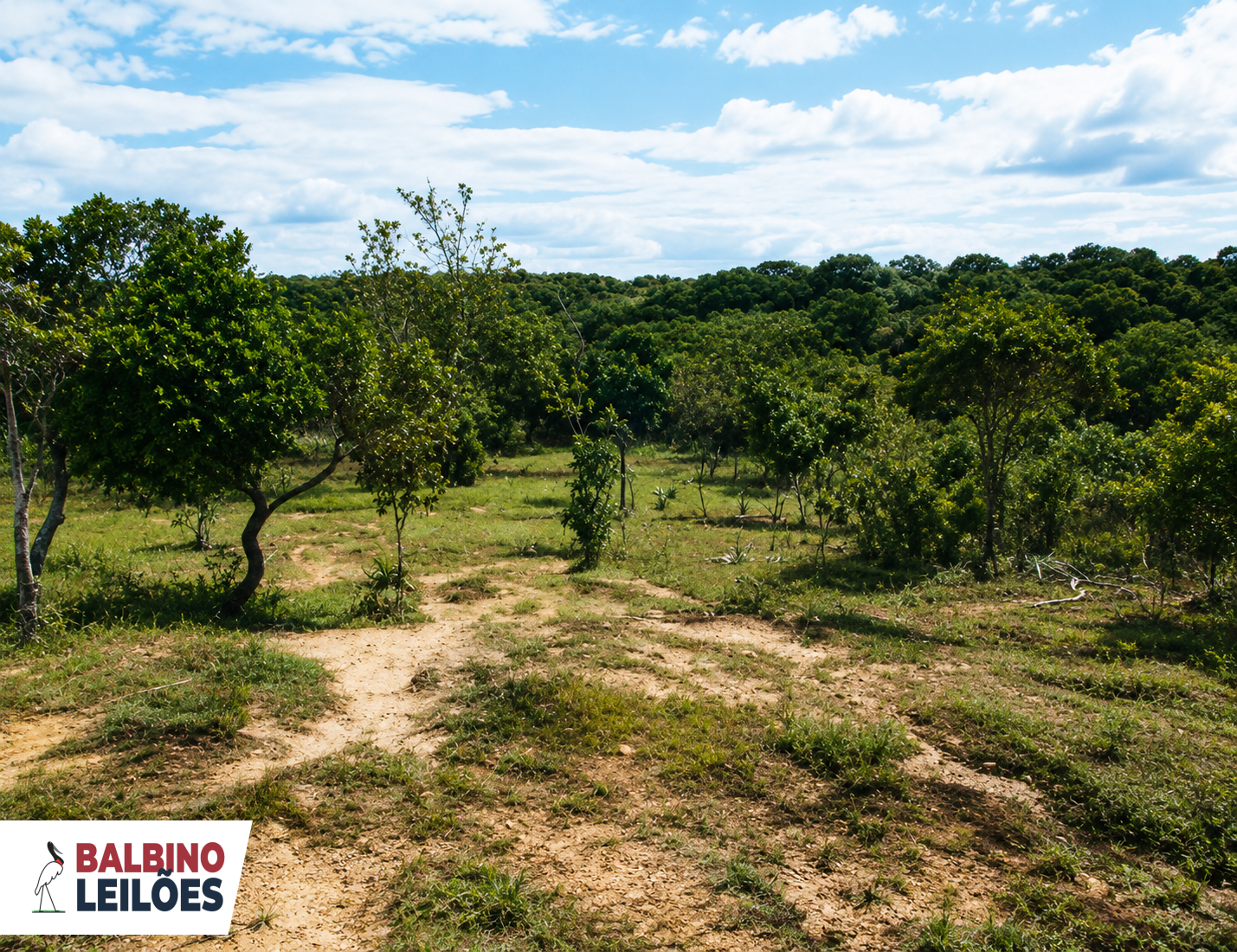 Gleba no Zona rural (foto 2 de 2)