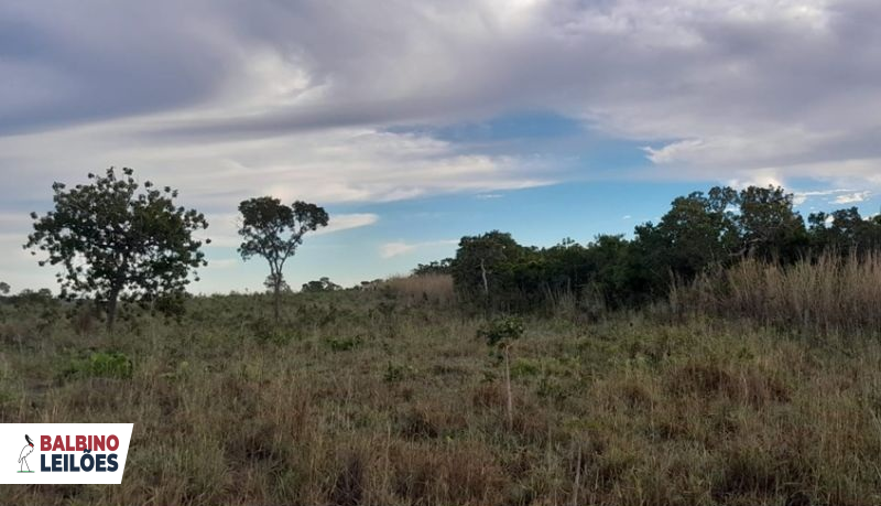 Gleba no Zona Rural em Nova Xavantina/MT — foto 1