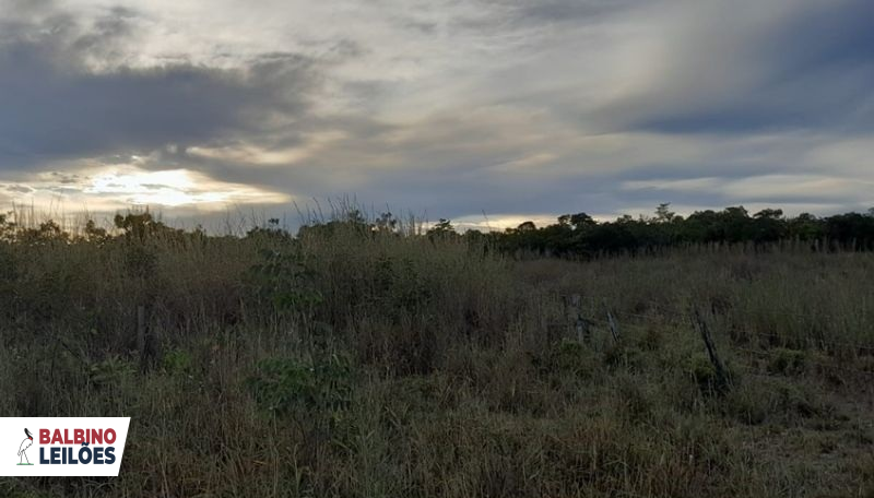 Gleba no Zona Rural (foto 2 de 6)
