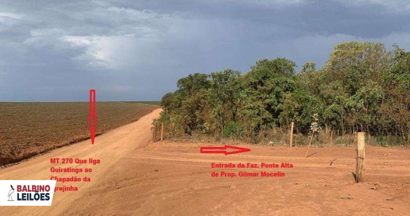 Gleba no Pedra Vermelha (foto 2 de 13)