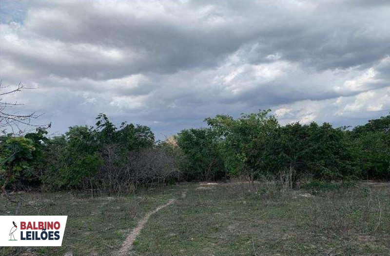 Gleba no Pedra Vermelha (foto 8 de 13)