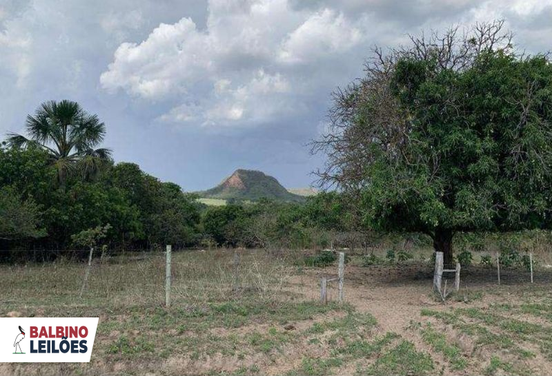 Gleba no Pedra Vermelha (foto 5 de 13)