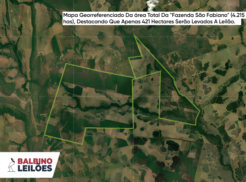 Lote 1 | MT - Porto Esperidião | Fazenda - Fazenda São Fabiano - 421 hectares