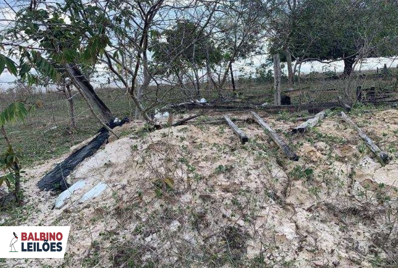 Gleba no Pedra Vermelha (foto 6 de 13)