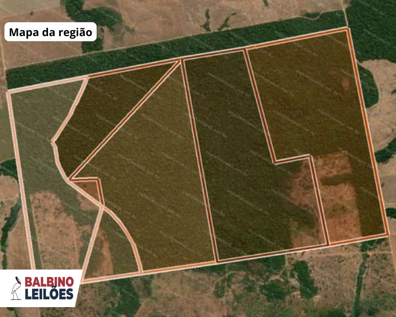 Lote 1 | MT - Apiacás | Fazenda - Laranjeiras - 968 hectares