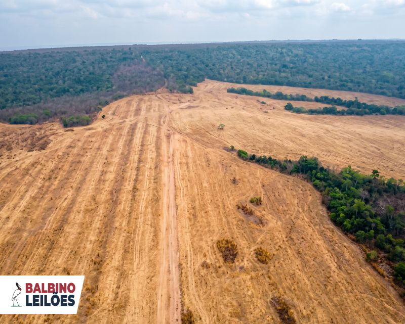 Gleba no Zona Rural (foto 6 de 26)