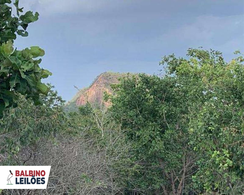 Gleba no Pedra Vermelha (foto 10 de 13)