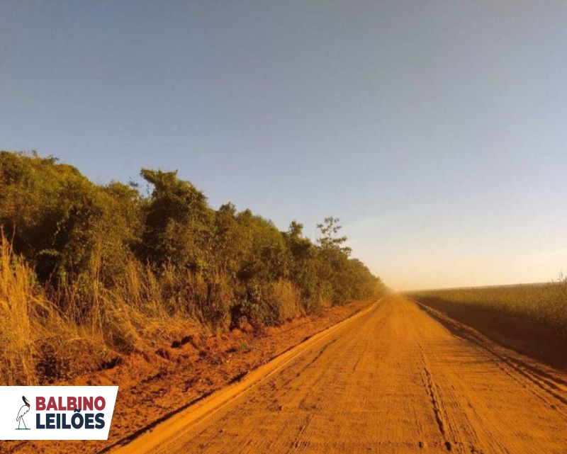 Lote 1 | MT - Paranatinga | Fazenda - Santa Tereza - 726 ha