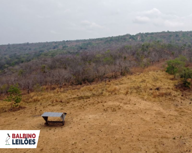 Gleba no Zona Rural (foto 7 de 26)