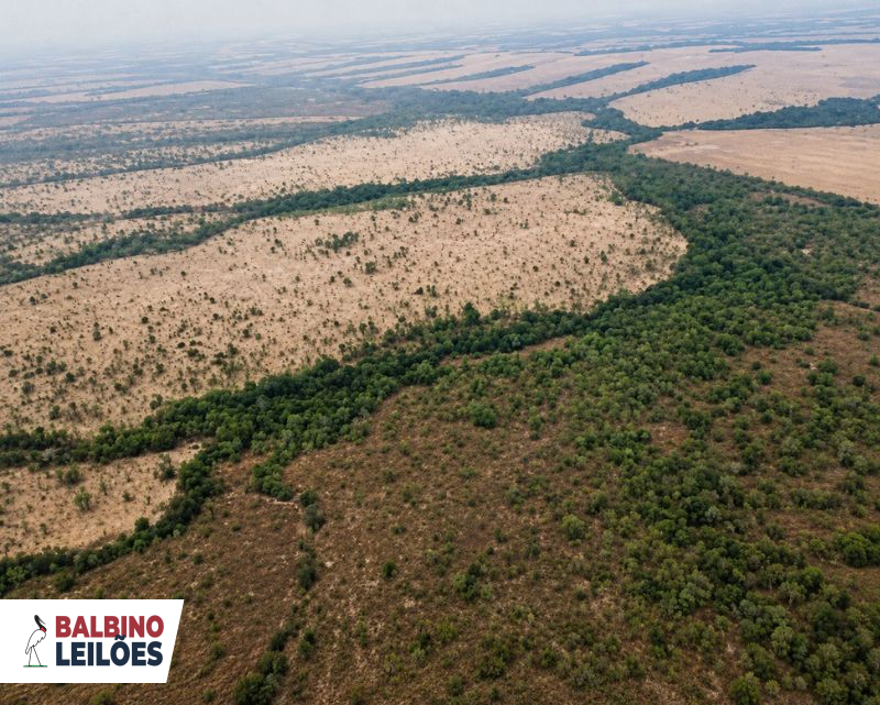 Gleba no Zona Rural (foto 5 de 26)
