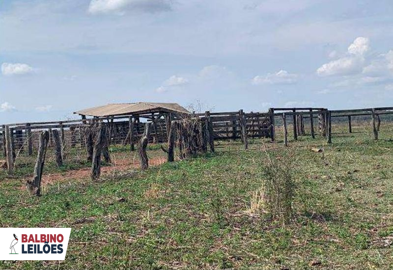 Lote 1 | MT - Guiratinga - Pedra Vermelha | Gleba - 500 ha