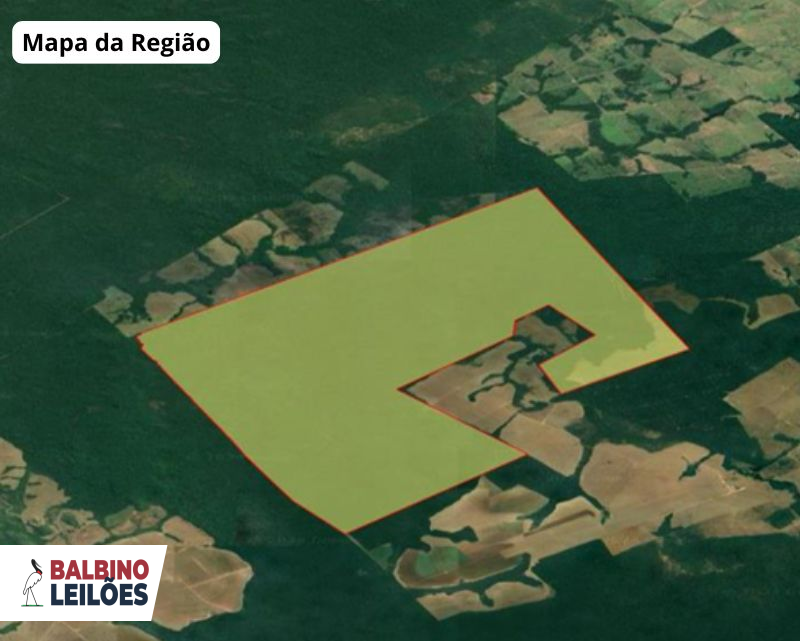 Gleba no Fazenda Santa Helena (foto 8 de 8)