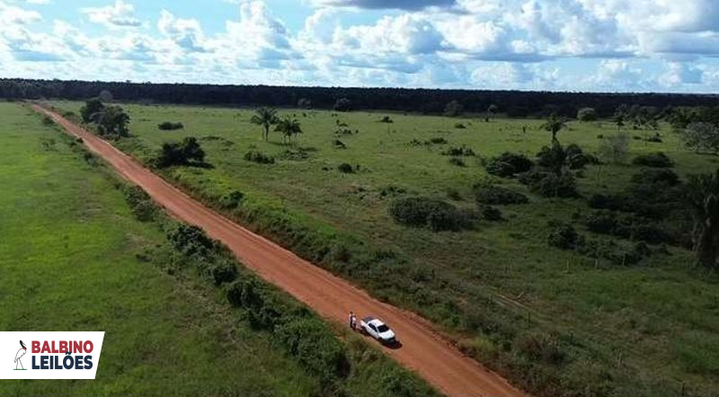Gleba no Catuaí em Juara/MT — foto 1