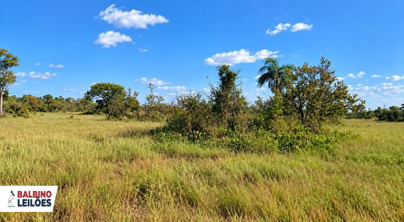 Gleba no Impuca Grande em Luciara/MT — foto 1