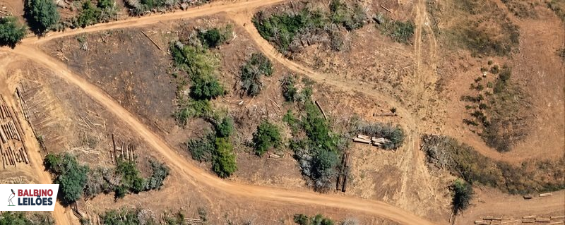 Terreno no Agrovila Simione (foto 3 de 3)
