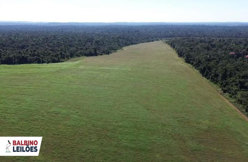 Lote 1 | MT - Juara - Fazenda Santa Helena | Fazenda - 4.706,74 ha