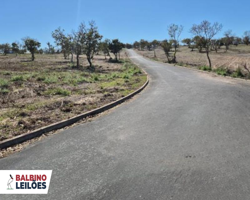 Terreno no Condomínio Terra Selvagem (foto 6 de 6)