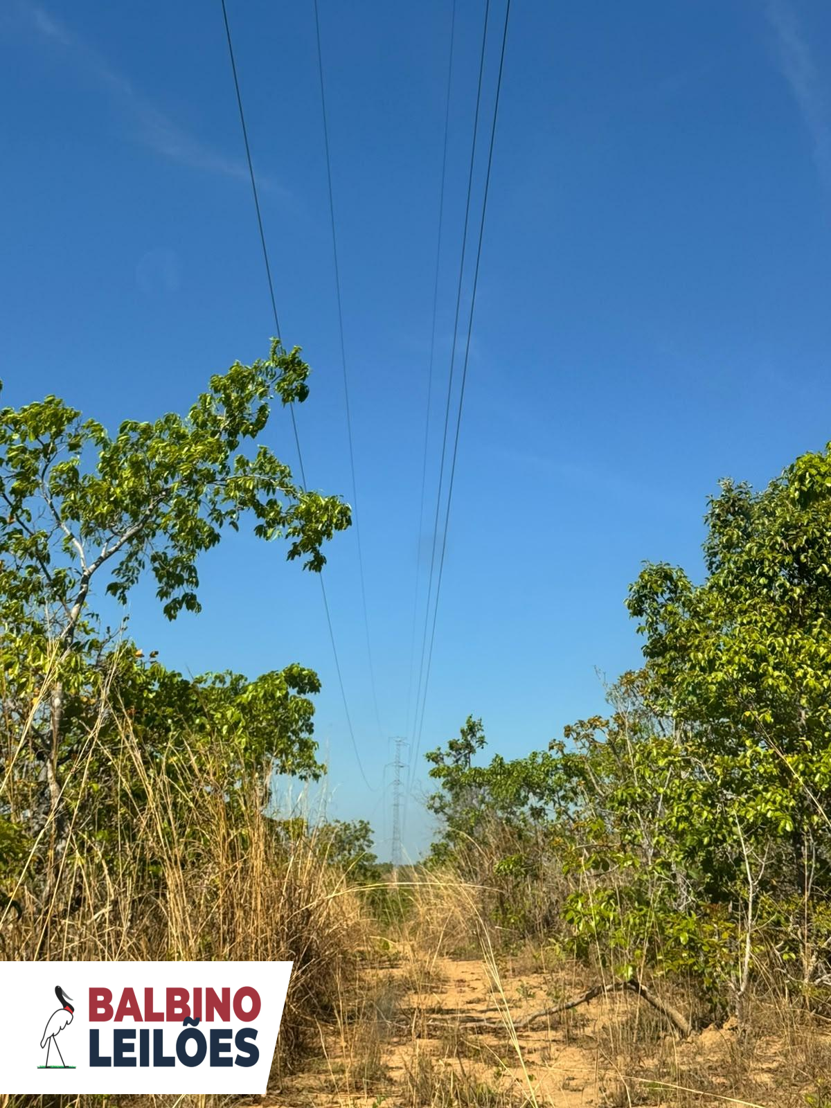 Gleba no Zona Rural (foto 19 de 26)