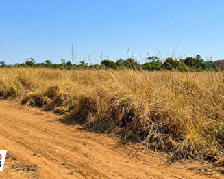 Lote 1 - MT - Cláudia - Setor Industrial | Terreno / Lote - 34.747m²