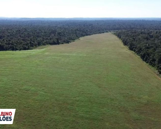 Lote 1 - MT - Juara - Fazenda Santa Helena (Comarca de Cuiabá) | Fazenda - 4.706,74 ha