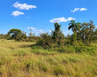 Lote 1 - MT - Luciára (Comarca de Rondonópolis) | Gleba - 150 ha