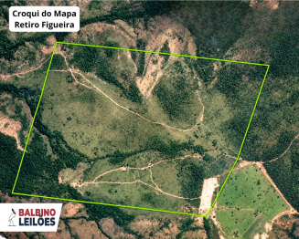 Lote 1 - MT - Alto Garças | Fazenda - Área de Terras - 220 ha