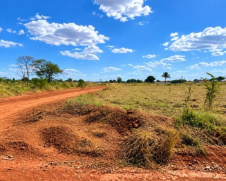 Lote 6 - MT - Tabaporã | Terreno / Lote - 675m²