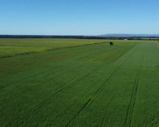 Lote 1 - MT - Nova Xavantina - Colonização Vale da Serra Azul | Chácara - 25 ha