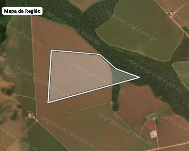 Lote 1 | MT - Sorriso | Fazenda - Irmãos Marchioro - 122,09 ha